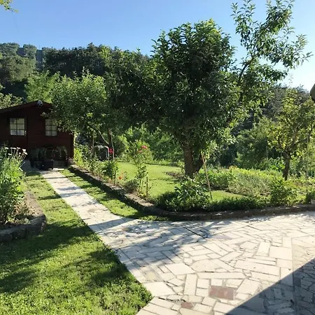 بيت ضيافة With A Parking Space Buzet, Istria - Sredisnja Istra - 17835